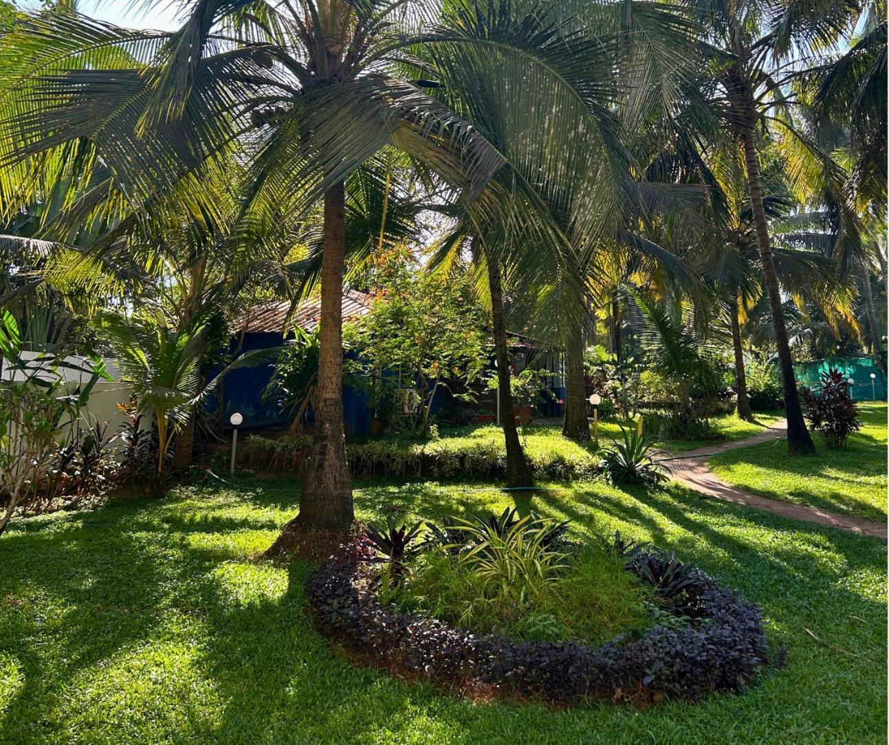 Jungle Hut-Annabelle'S Beach Apartments At Bernard Simao,Calangute,Goa Candolim Exterior foto